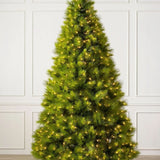 Árvore de Natal Verde Monterey Pine com Galhos Longos, Suporte Metálico e Micro LEDs Embutidos