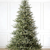 Árvore de Natal Sanibel Spruce com Galhos Articulados, Suporte Metálico e Micro LEDs Embutidos